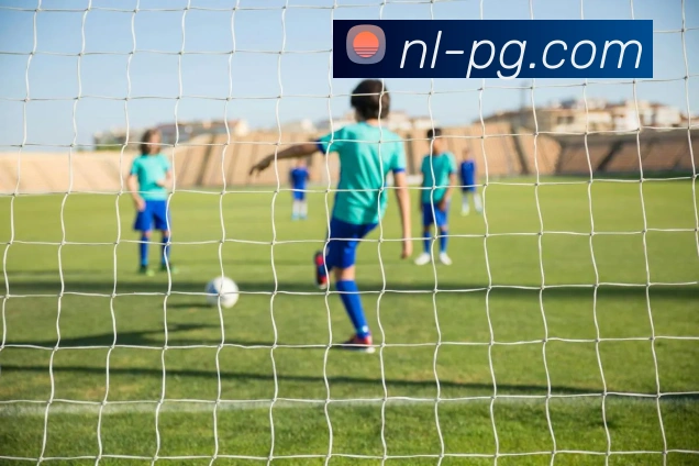 pg电子平台生态图